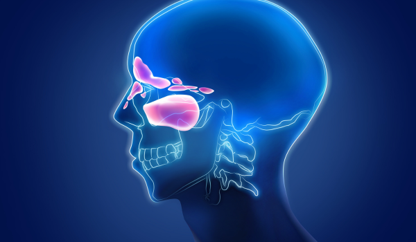 Sinus Infection Symptoms, Treatment, and When To Seek Medical Care