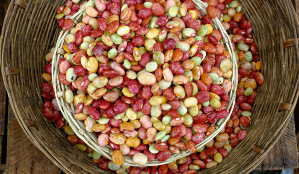 Are Beans Keto-Friendly? What You Should Know