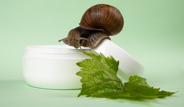 Everything You Need To Know About Snail Mucin