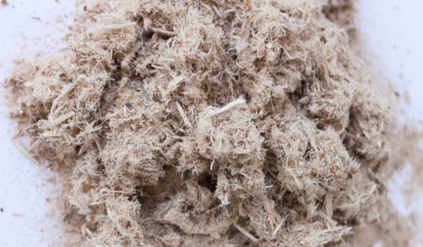 Health Benefits of Slippery Elm: Soothing Support for Digestive and Respiratory Health