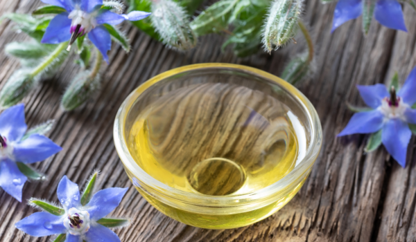 Health Benefits and Uses of Borage Oil