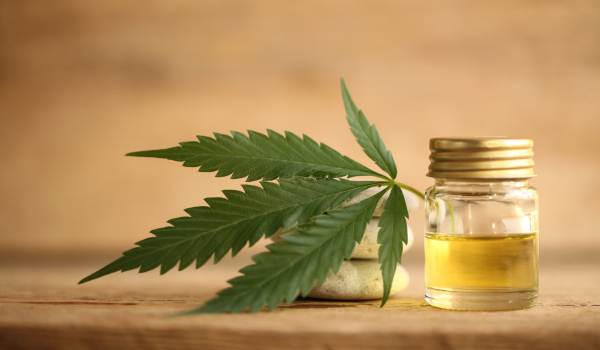 Top 10 CBD Oil Companies Dominating the Global Market