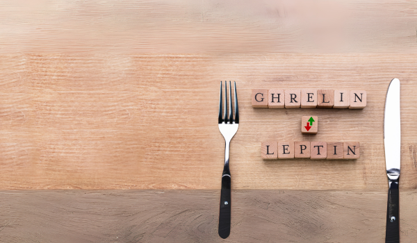 Understanding Ghrelin and Leptin: Hormones That Influence Hunger and Fullness