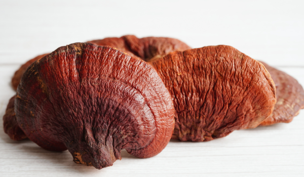 What To Know About Reishi