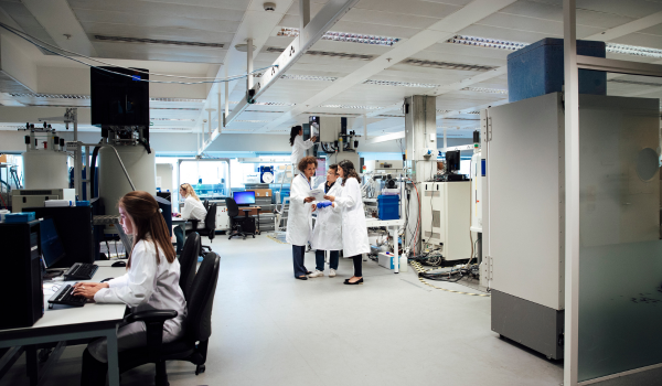 The Future of Type 1 Diabetes Research: Can It Be Cured?