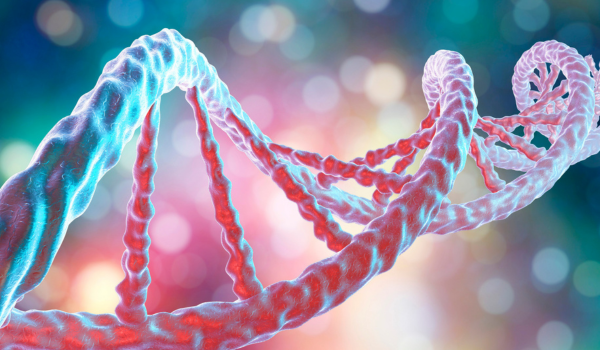The Role of Genetics and Immunity in the Development of IBD