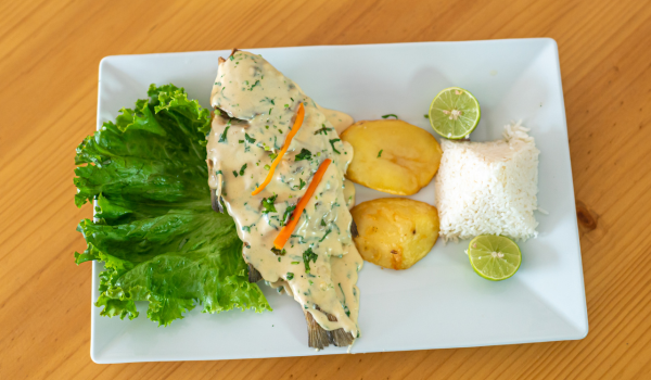 Diet and Lifestyle Changes That May Help Meniere’s Disease