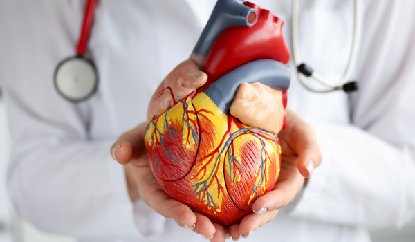 Understanding Atrial Fibrillation (A-Fib)