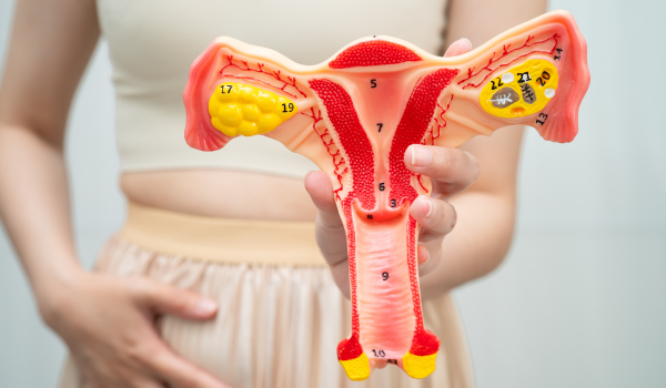 Who Is Most at Risk for Uterine Cancer?