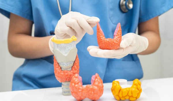 How Lymphoma Affects the Immune System