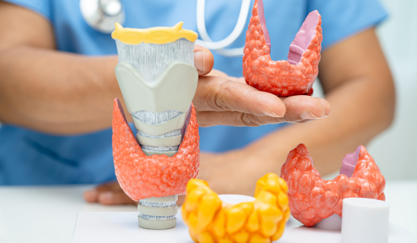 Lymphoma and Nutrition: What to Eat During Treatment