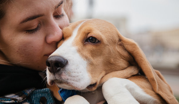 Why Pet Nutrition Should Be a Priority in Veterinary Care