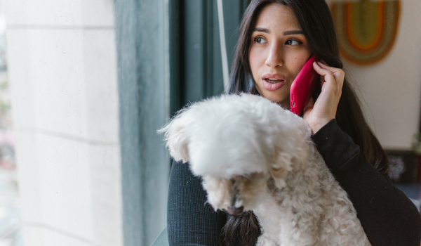 Why Your Dog Barks During Phone Calls—and How to Help Them Stop