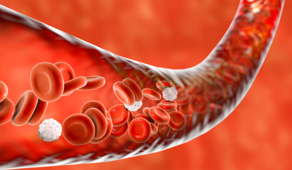 How Vasculitis Affects the Body and How to Manage It